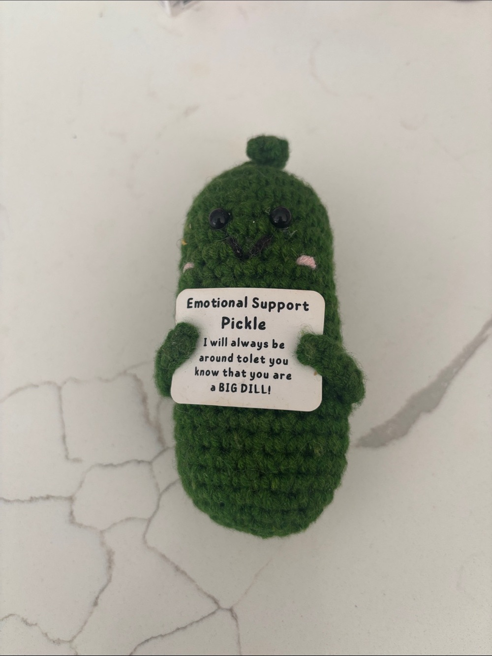 Emotional Support Pickle Plush Toy - Green